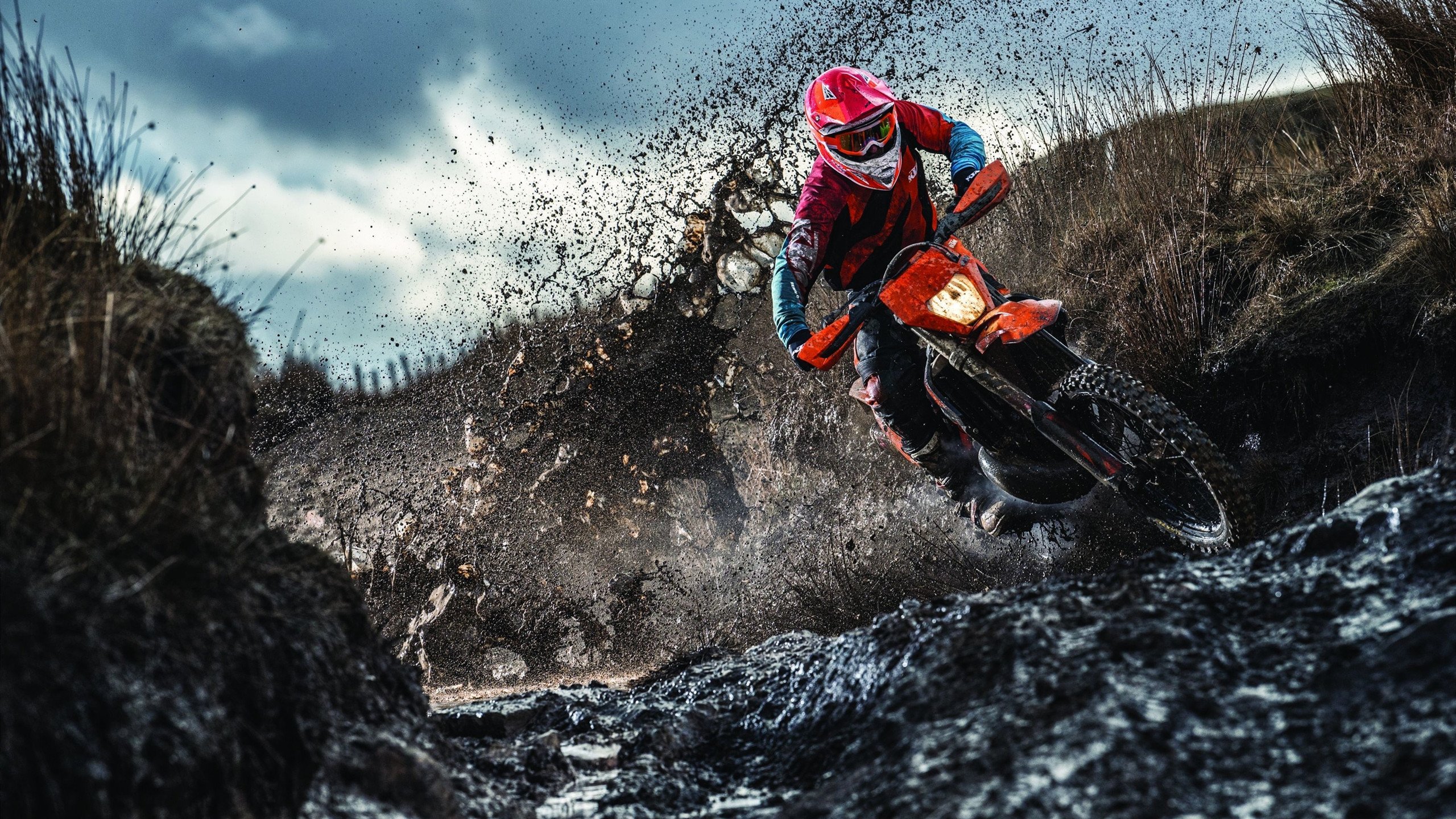 篮网替补火力支撑，稳稳拿下比赛，篮网替补席跳舞