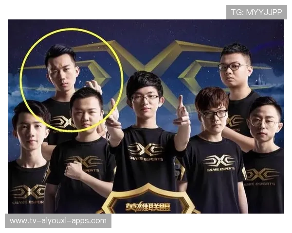 职业战队的粉丝建设思路